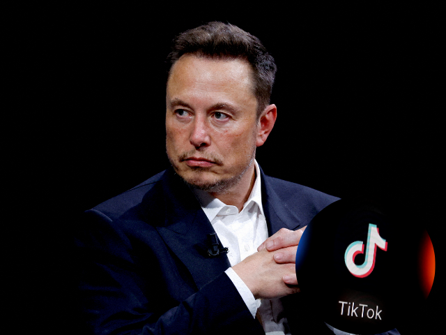 Musk stated he has not placed a bid for TikTok and does not see a strong reason to acquire it.